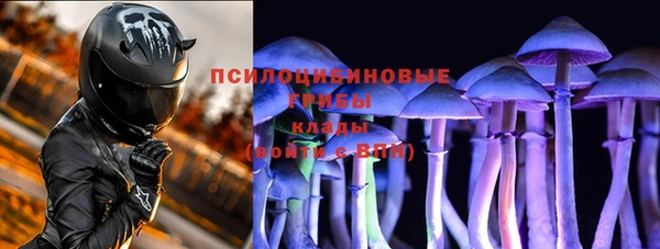 МДПВ Арсеньев