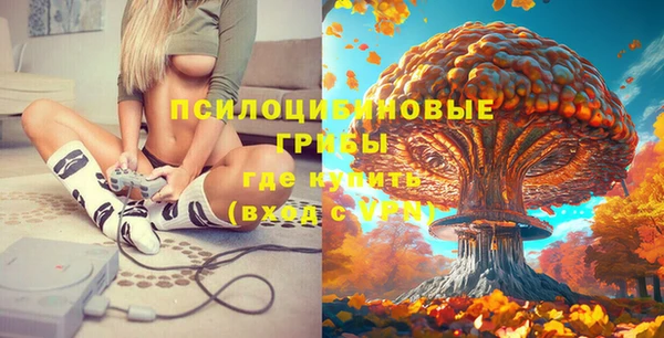apvp Аркадак