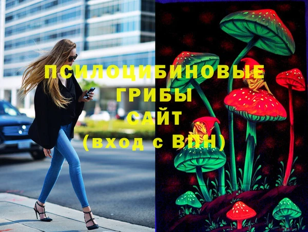 apvp Аркадак