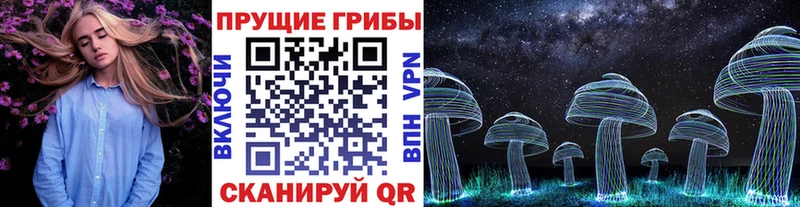 KRAKEN зеркало  Саянск  Псилоцибиновые грибы Psilocybine cubensis  цены  
